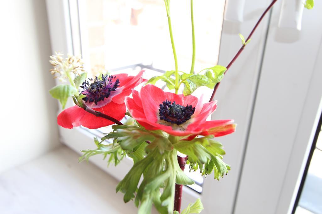 Hotel Thormaehlen Bliestorf ห้อง รูปภาพ