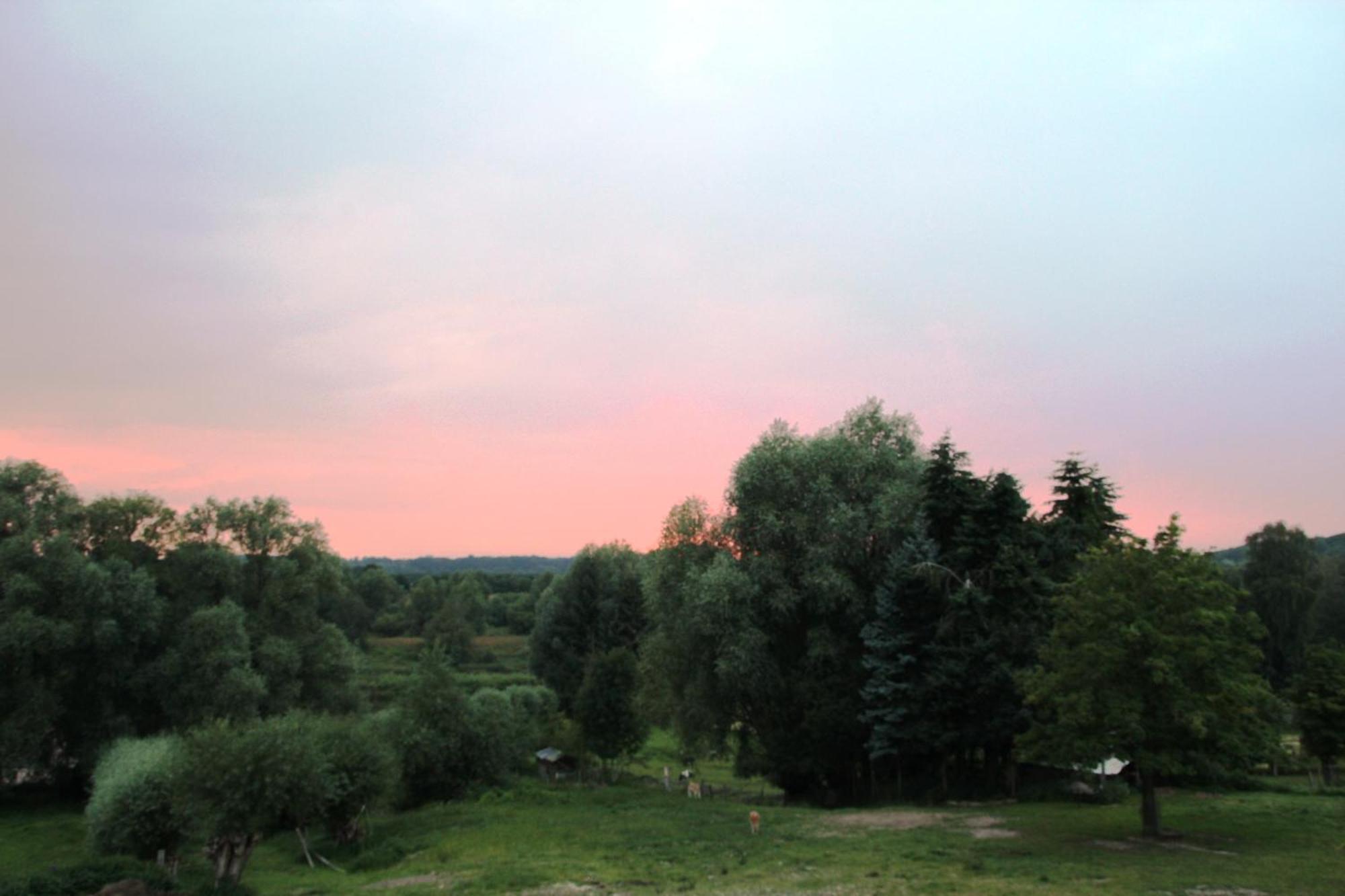 Hotel Thormaehlen Bliestorf ภายนอก รูปภาพ